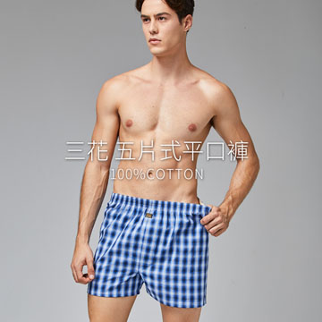 【Sun Flower三花】三花5片式平口褲.四角褲.男內褲(3件組)_大尺碼隨機