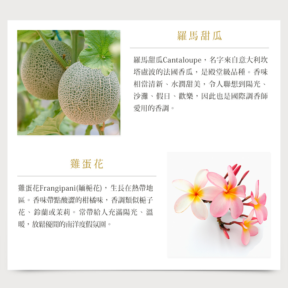 【MISSDAISY】香氛洗髮精(羅馬甜瓜雞蛋花) 500mL 贈髮膜 30mL