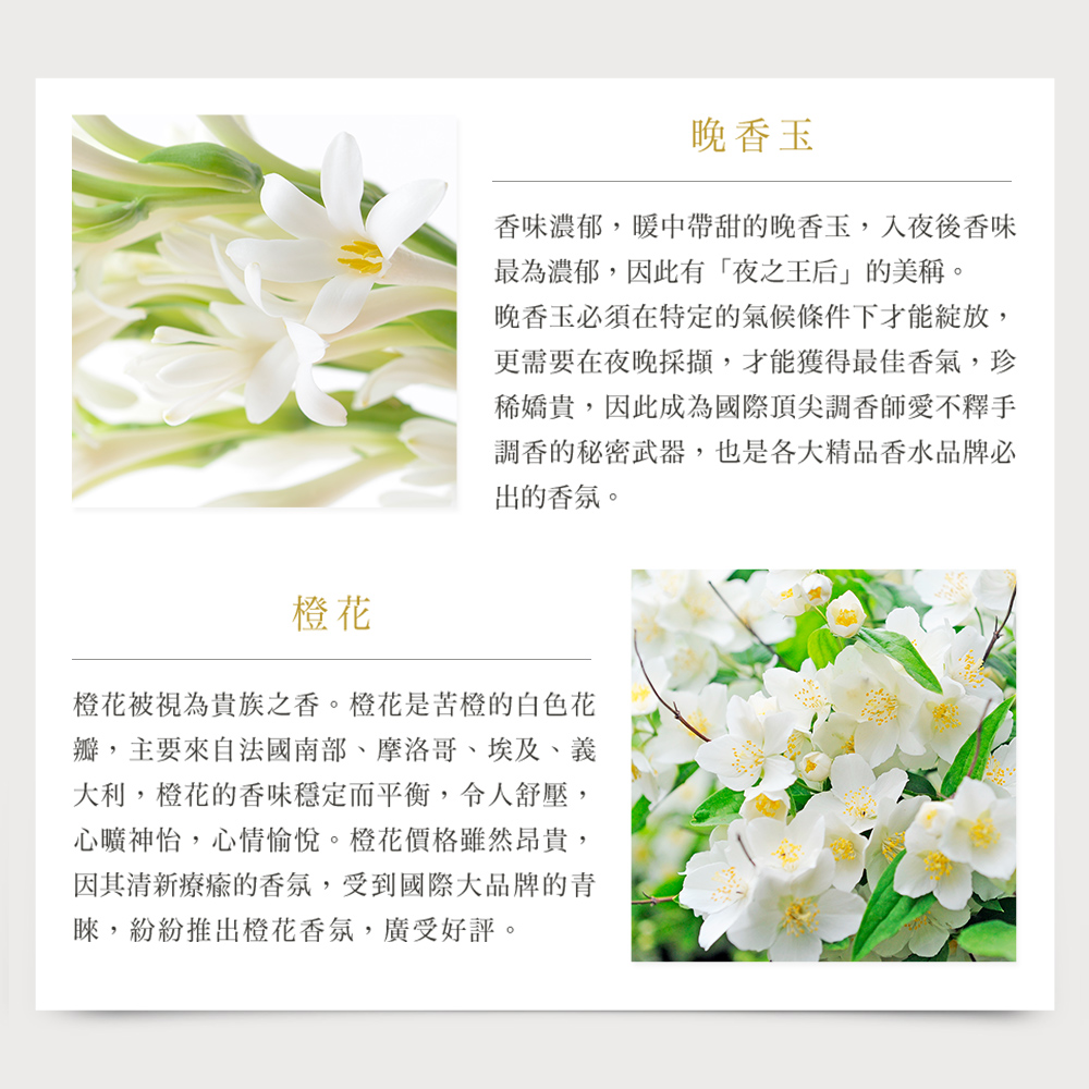 【MISSDAISY】香氛洗護旅行組(晚香玉與橙花)