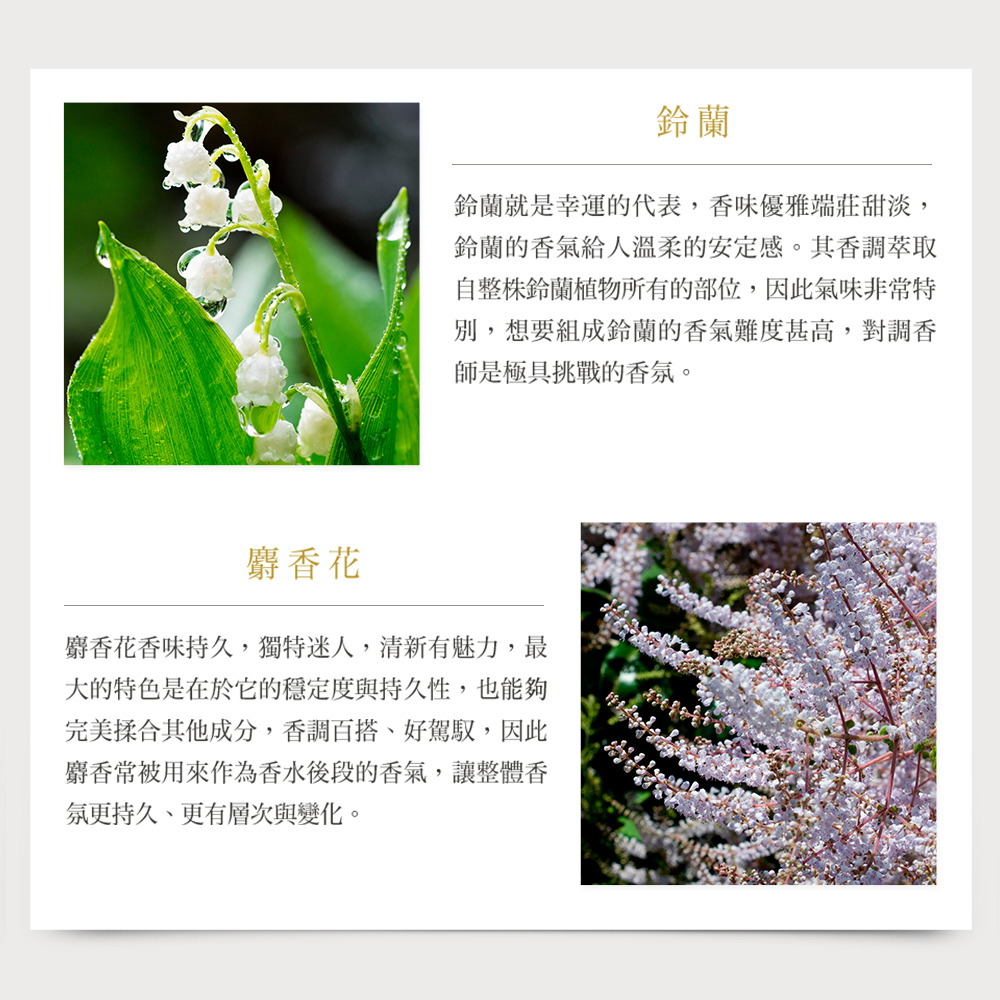 【MISSDAISY】香氛洗護旅行組(鈴蘭與麝香)