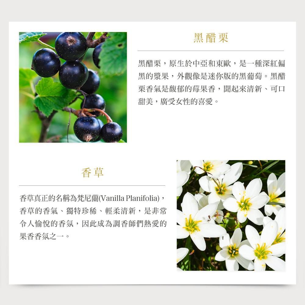 【MISSDAISY】香氛洗護旅行組(黑醋栗與香草蜜糖)