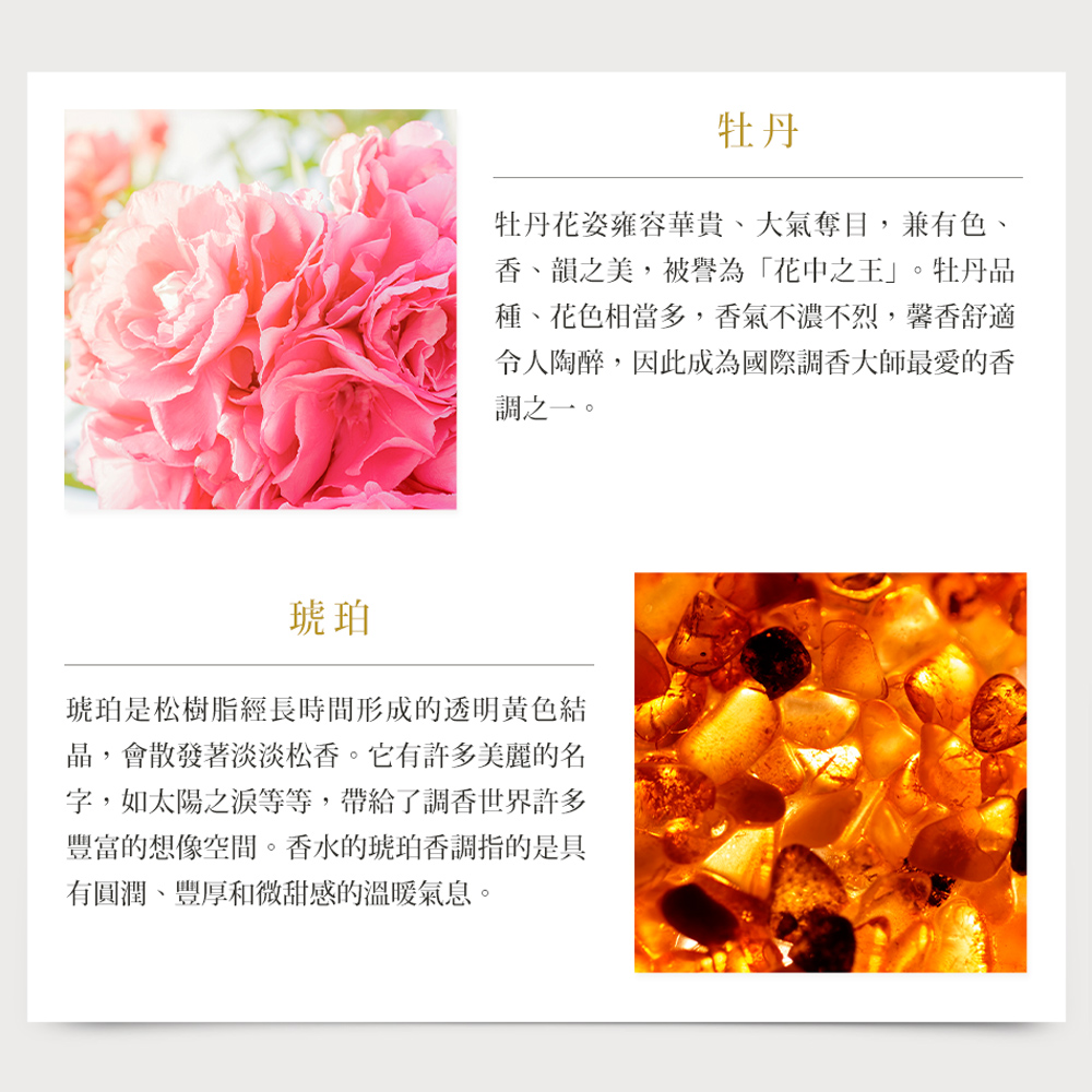 【MISSDAISY】香氛洗護旅行組(牡丹與白琥珀)